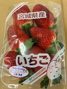 【JAみやぎ仙南】宮城県角田市産いちご　にこにこベリー・とちおとめ詰合せ　合計約1kg（250g×4パック） イチゴ 苺 とちおとめ にこにこベリー 