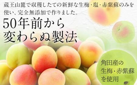 【ふるさと納税】＜訳あり＞宮城県角田産【無添加】まごころ手作り梅干し(1kg)　