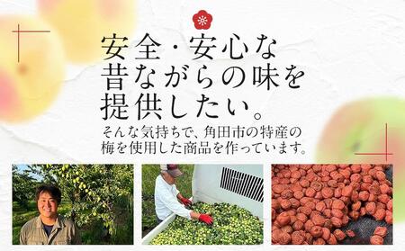 【ふるさと納税】宮城県角田産【無添加】まごころ手作り梅干し(270g)・練り梅(150g)１セット 梅干 梅干し 練り梅 梅干 梅干し 練り梅 梅干 梅干し 練り梅 梅干 梅干し 練り梅 梅干 梅干し 練り梅 梅干 梅干し 練り梅 梅干 梅干し 練り梅 梅干 梅干し 練り梅 梅干 梅干し 練り梅 梅干 梅干し 練り梅 梅干 梅干し 練り梅 梅干 梅干し 練り梅 梅干 梅干し 練り梅 梅干 梅干し 練り梅 梅干 梅干し 練り梅 梅干 梅干し 練り梅 梅干 梅干し 練り梅 梅干 梅干し 練り梅 梅干 梅干し 