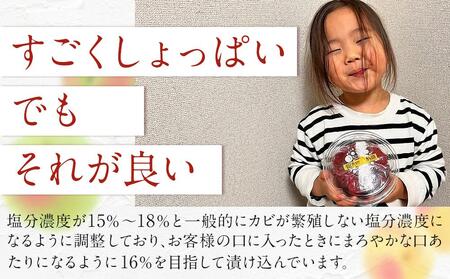 【ふるさと納税】宮城県角田産【無添加】まごころ手作り梅干し(270g)・練り梅(150g)１セット 梅干 梅干し 練り梅 梅干 梅干し 練り梅 梅干 梅干し 練り梅 梅干 梅干し 練り梅 梅干 梅干し 練り梅 梅干 梅干し 練り梅 梅干 梅干し 練り梅 梅干 梅干し 練り梅 梅干 梅干し 練り梅 梅干 梅干し 練り梅 梅干 梅干し 練り梅 梅干 梅干し 練り梅 梅干 梅干し 練り梅 梅干 梅干し 練り梅 梅干 梅干し 練り梅 梅干 梅干し 練り梅 梅干 梅干し 練り梅 梅干 梅干し 練り梅 梅干 梅干し 