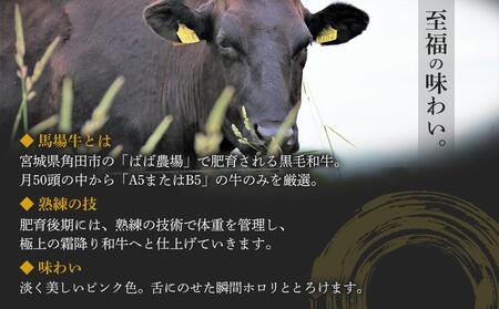 【馬場牛】宮城県産黒毛和牛100％ プレミアムハンバーグ 8個セット 牛肉100%