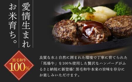 【馬場牛】宮城県産黒毛和牛100％ プレミアムハンバーグ 16個セット 牛肉100% ハンバーグハンバーグハンバーグハンバーグハンバーグ