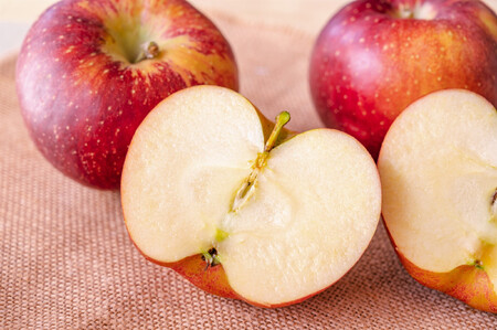 【2026年発送／先行予約】「秋映」約3kg（8～10玉）【松崎果樹園】