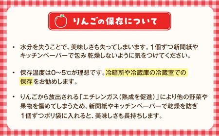 【2026年発送／先行予約】「秋映」約3kg（8～10玉）【松崎果樹園】