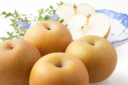 【2026年発送／先行予約】梨「あきづき」約4kg（6～8玉入）【松崎果樹園】