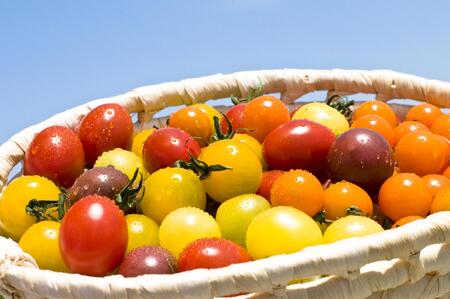 【2026年発送分先行予約】角田産 新鮮！カラフル ミニトマト １kg【2026年6月上旬より順次】