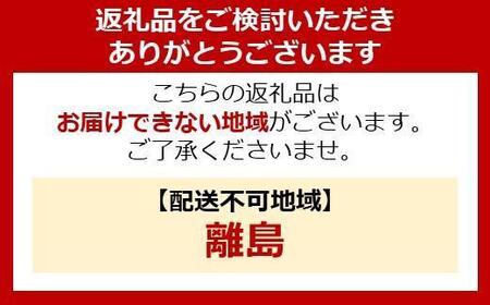 乾電池式LEDセンサーライト　下方発光タイプ BSL-MS1