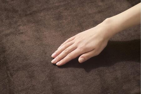 電気毛布 敷き 80×14cm EHB-FK1480B-DT ダークブラウン アイリスオーヤマ｜室温センサー リビング 抗菌 節電 省エネ 洗える 防寒 ダニ対策