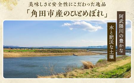 【令和7年産】無洗米 ひとめぼれ5kg 新米