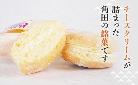 チーズブッセ 満天の詩　15個入り ｜ ささもり 和菓子 贈り物 宮城県 名物 ふるさとの味  