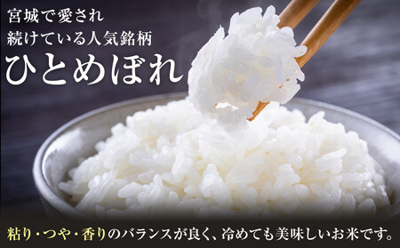【3回定期便】宮城県産ひとめぼれ【無洗米】 5kg×1袋