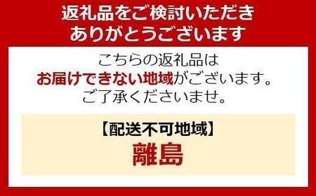 布団乾燥機 ふとん乾燥機 カラリエmini TURBO JSK-S10-W ホワイト