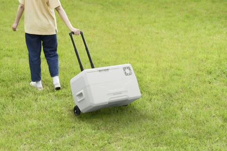 ポータブル冷蔵冷凍庫 30L 冷蔵庫 冷凍庫 DC電源 AC電源 USBポート アイリスオーヤマ 家電 アウトドア ポータブル サブ冷蔵庫 サブ冷凍庫 車載 フリーザー BBQ 小型冷蔵庫 小型冷凍庫 IPD-3B-W ホワイト