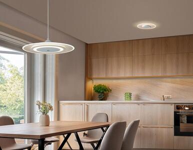 照明 LEDペンダントライト パネルライト 温白色 PLP6D-WW ホワイト