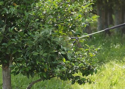 電池式噴霧器 ツインノズルIR-4W