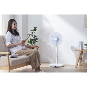 扇風機 DCリビング扇 フルリモコン式 LFD-307L-W ホワイト
