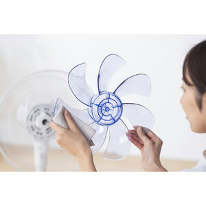 扇風機 DCリビング扇 フルリモコン式 LFD-307L-W ホワイト