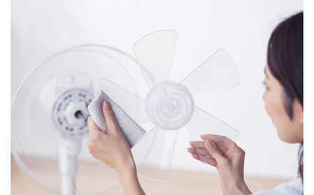 扇風機 DCリビング扇 首振りメカ式 LFD-307LE-W ホワイト