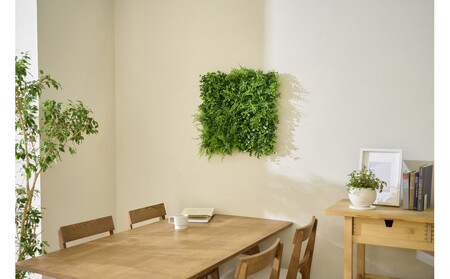 DECO GREEN ウォールパネル WG-50A アジアンタム 3個セット