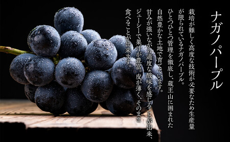 【2026年発送分先行予約】ナガノパープル１房（約500～600g）【2026年8月下旬以降順次】