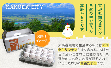 おおえだファーム アスタキサンチン卵（白）Lサイズ 50個入り 卵