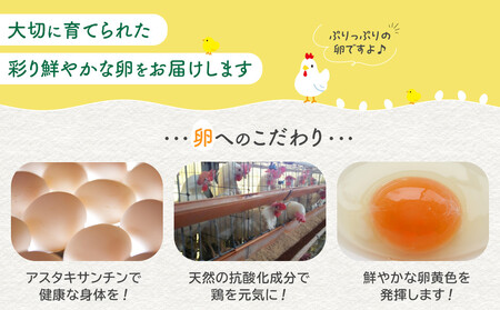 おおえだファーム アスタキサンチン卵（白）Lサイズ 60個入り 卵