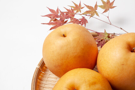 【2026年発送分先行予約】新高　約５kg（7～10玉）10月中旬～順次発送【吉川果樹園】