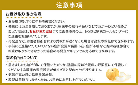 【2026年発送分先行予約】(訳あり) 旬の和梨　約５kg【吉川果樹園】 ｜ 梨 フルーツ くだもの 宮城県角田市 