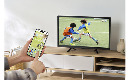 テレビ Google液晶TV 24V型 LT-24WGX-F1 ブラック