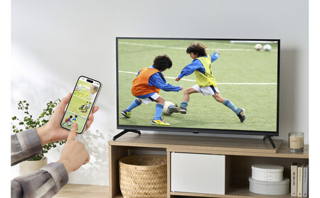 液晶テレビ アイリスオーヤマ 40V型 | ブラック LT-40FGX-F1 液晶テレビ