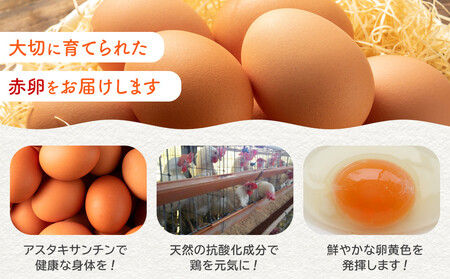 おおえだファーム アスタキサンチン卵（赤）Lサイズ 30個入り 卵