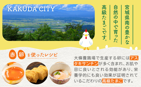 おおえだファーム アスタキサンチン卵（赤）Lサイズ 50個入り 卵