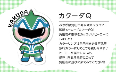 キャンバストートバックRD　オリジナルイラスト　36cm×37cm　マチ11cm　持ち手50cm　綿100％