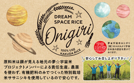 夢☆宇宙米おにぎり 3種類詰め合わせ(9食)【8月上旬より順次発送開始】