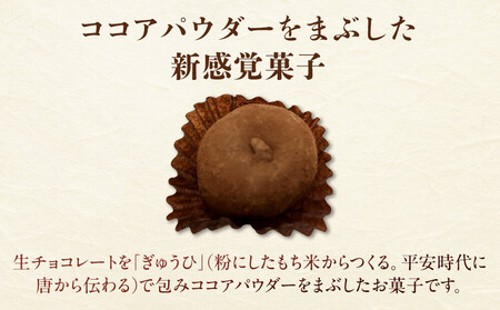 生ちょこ大福 12個入×2箱【ささもり 菓子 おかし 食品 贈り物 宮城県 人気 おすすめ 送料無料】