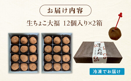 生ちょこ大福 12個入×2箱【ささもり 菓子 おかし 食品 贈り物 宮城県 人気 おすすめ 送料無料】