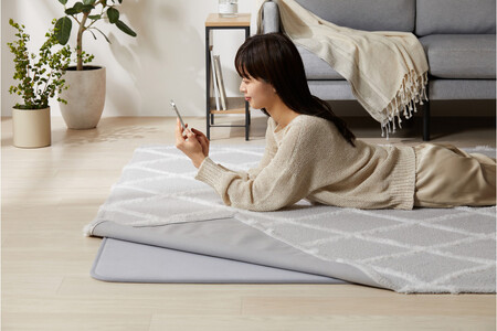 はがして洗える  Ｈａｇａｓｈ  カバーベニワレン風　HAGCB-1824　グレージュ