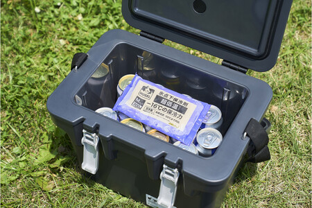 【10個セット】HUGEL 氷点下保冷剤 超低温タイプ HHCS-300