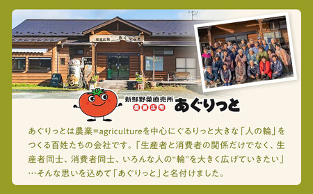 【角田市産秘伝豆使用】高蔵寺大福(ずんだ)5個セット【あぐりっと】