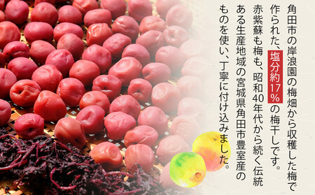 角田市 岸浪園　梅干し 300ｇ×12パック 300個限定