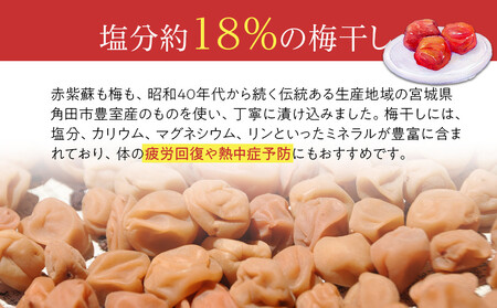【2026年1月下旬より発送】梅干し 種なし身割れ 1kg 超お得パッケージ 限定600個