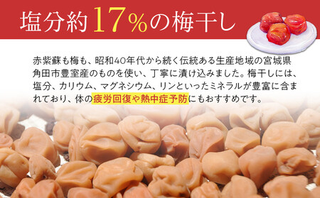 角田市 岸浪園　梅干し 種なし身割れ 3kg（1kg×3パック）超お得パッケージ 限定400個