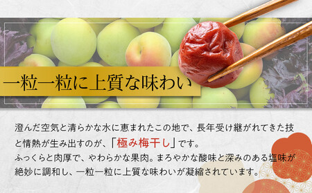 角田市 岸浪園 極み梅干し 塩分約17％ 100ｇ×12パック 限定100個