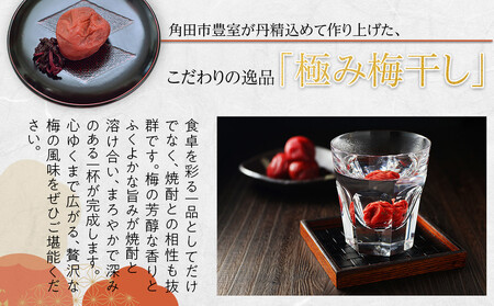 角田市 岸浪園 極み梅干し 塩分約17％ 100ｇ×12パック 限定100個