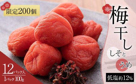 角田市 岸浪園 梅干し しそとうめ 低塩約12％ 100ｇ 12パック入り 限定200個
