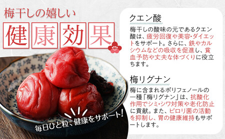 角田市 岸浪園 梅干し しそとうめ 低塩約12％ 100ｇ 12パック入り 限定200個