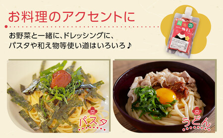 角田市 岸浪園 梅干しペースト 練梅 150g×6パック 限定200個