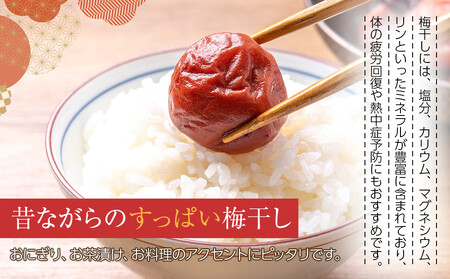 【2026年1月下旬より発送】梅干し 170g 4パック入り 限定400個