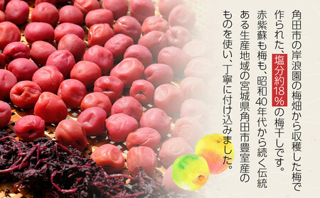 【2026年1月下旬より発送】梅干し 100g 6パック入り 限定300個