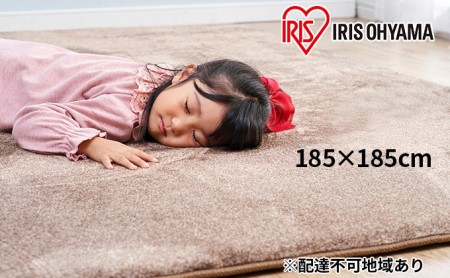 ラ・クッションラグ ACRB-1818 ベージュ